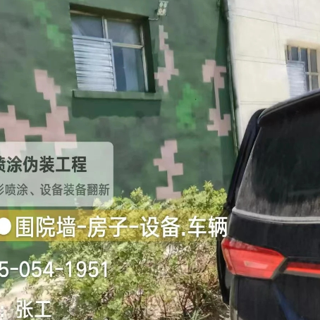 忻州数码迷彩漆施工